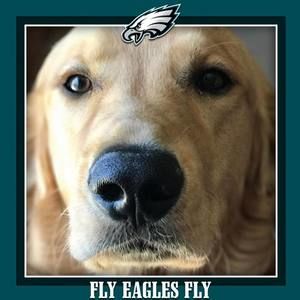 Meet your Posher, Marisa